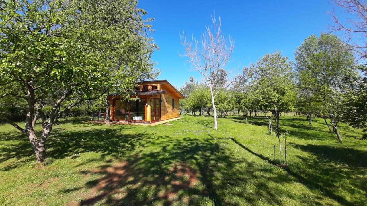 فيلا Tiny House Grabovac غاكوفيتسا المظهر الخارجي الصورة