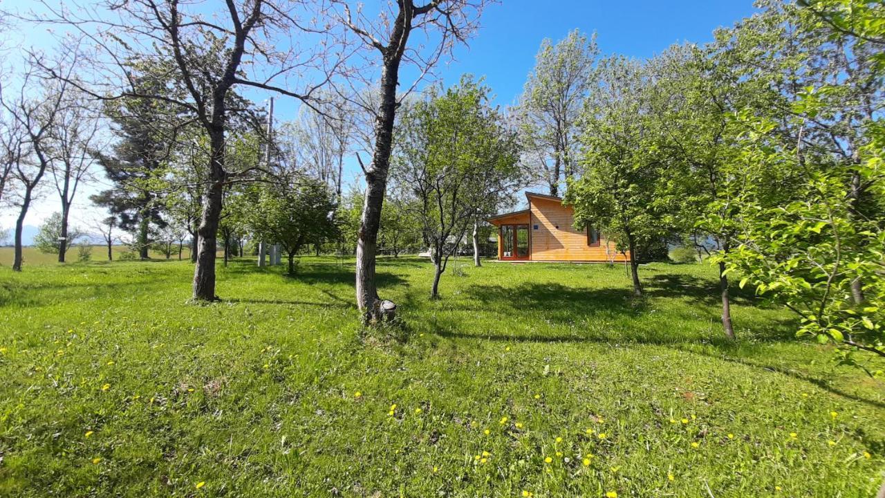 فيلا Tiny House Grabovac غاكوفيتسا المظهر الخارجي الصورة