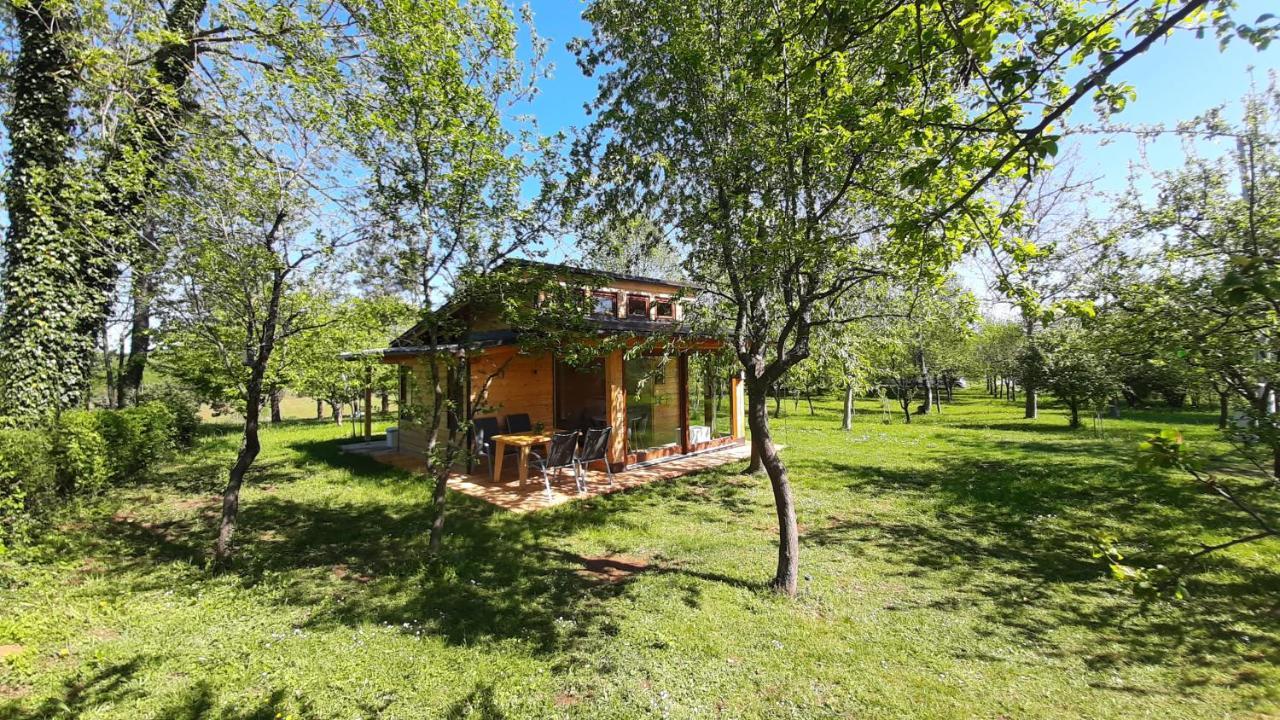 فيلا Tiny House Grabovac غاكوفيتسا المظهر الخارجي الصورة